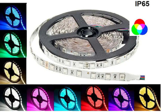 Vito Waterproof LED Strip 12V RGB Light 5m Type SMD5050