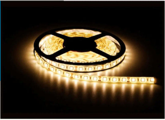 Vito LED Strip 12V Warm White Light 5m Type SMD2835