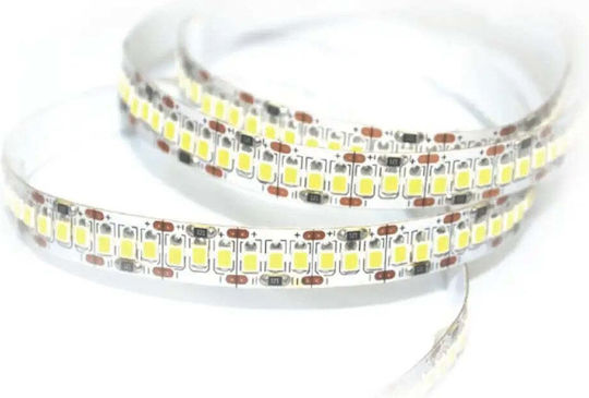 Vito LED Strip 12V Warm White Light 5m Type SMD2835