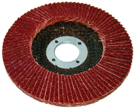 Raider Sanding Disc Φυλλαράκι A040 125mm Grinding Disc Metal 125mm