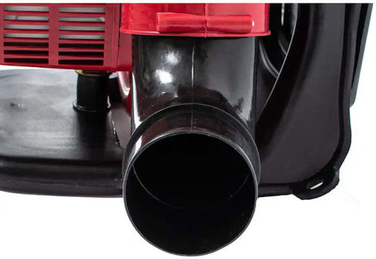 Raider RD-KMD01 Drucksprüher Benzin 3hp mit Kapazität 20Es