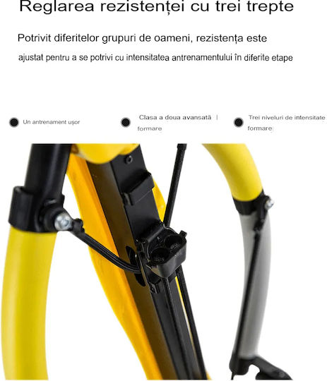 Arvada Dragonfly Fit Ld/tf-01 Dispozitiv Fitness – Echipament Versatil Complet Pentru Antrenamente De Forță Abdomen Nucleu Ideal Pentru Acasă Sală Birou Negru