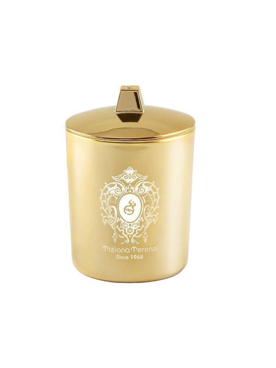 Tiziana Terenzi Dekorative Kerze im Gold Gefäß 170g