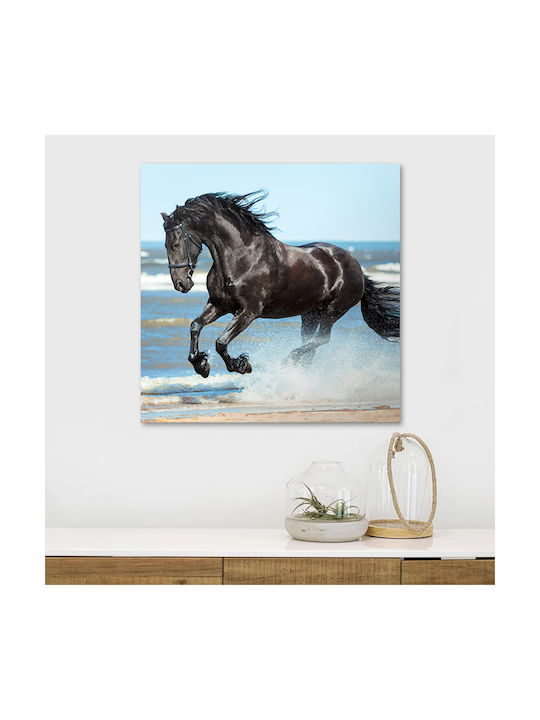 Megapap Black Horse Painting on Canvas 60x60cm