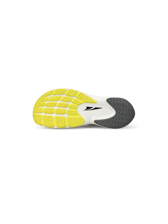 Vanish Tempo Sport Shoes Training Gray
