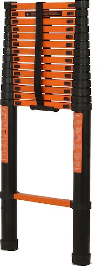 Vesta Telescopic Ladder Iron 12 of Steps with Maximum Height 4.7m