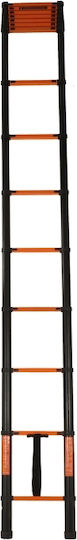 Vesta Telescopic Ladder Iron 15 of Steps with Maximum Height 5.9m