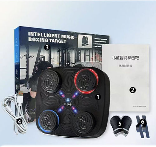 Wall-Mounted Boxing Training Device Music via Bluetooth Sl-0025