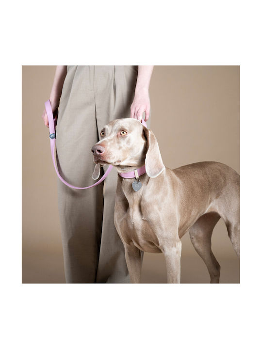 Leather Dog Collar My Family Wisteria Hermitage Pink XSmall