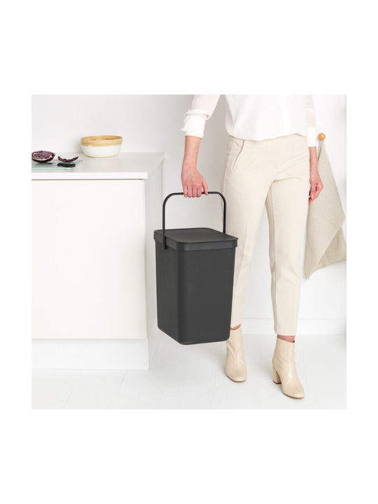 Brabantia Sort Waste Bin 25lt Gray