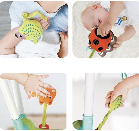 Hola Toys Sală de Activități pentru 0++ Luni