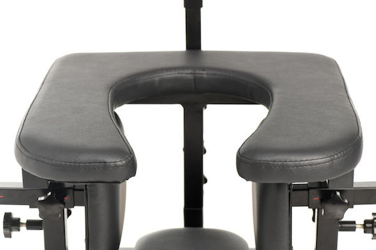Master Series Pleasure Swing