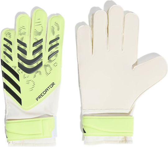 adidas Predator Training Γάντια Τερματοφύλακα Ενηλίκων Πράσινα