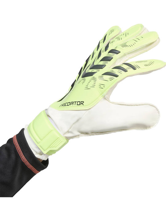 adidas Predator Training Γάντια Τερματοφύλακα Ενηλίκων Πράσινα