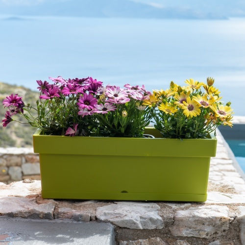Viomes Linea Planter Box Green/yellow with Saucer