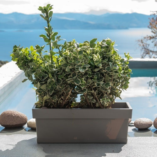 Viomes Linea Planter Box Green/yellow with Saucer