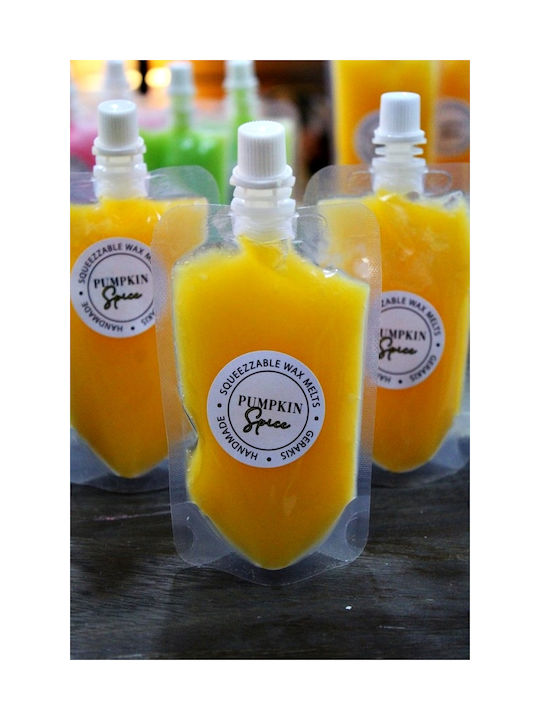 Gerakis Αρωματικό Wax Melt με Άρωμα Κολοκύθα 003939PSP