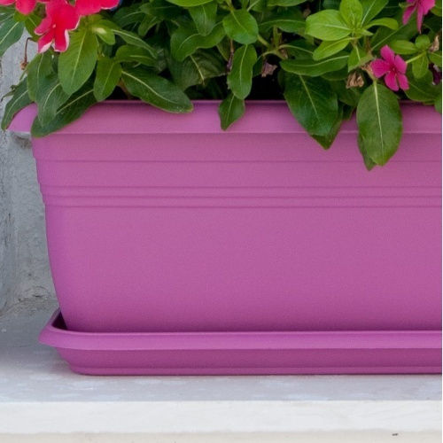 Viomes Plate Pot