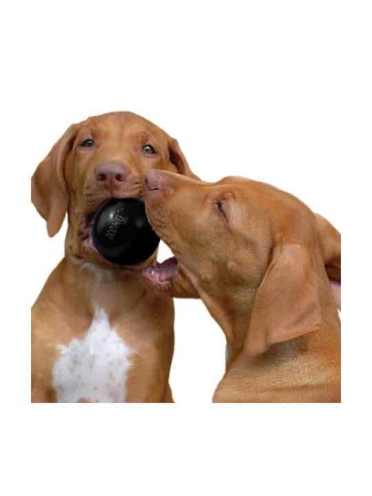 Kong Extreme Ball Toy Dog Chewing made of Rubber Small 6.5εκ. Black 1pcs