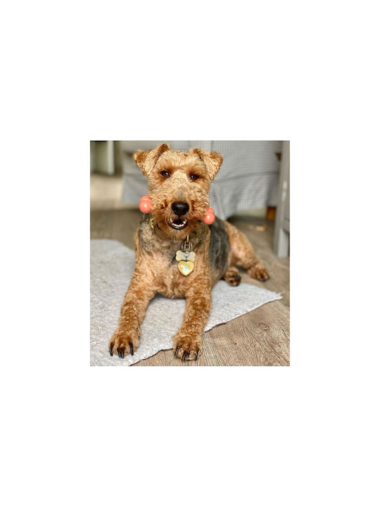 Nylabone Power Bone Toy Dog Chewable with Flavor Bacon Small Beige 1pcs