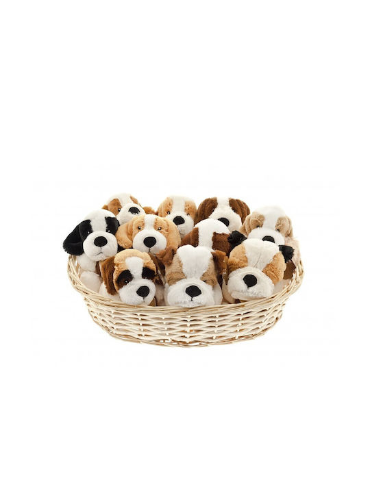 Ferribiella Plush Toy Dog 1pcs