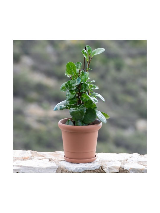 Flower Pot Gea 25lt-d41x35.50 cm-gray Beige