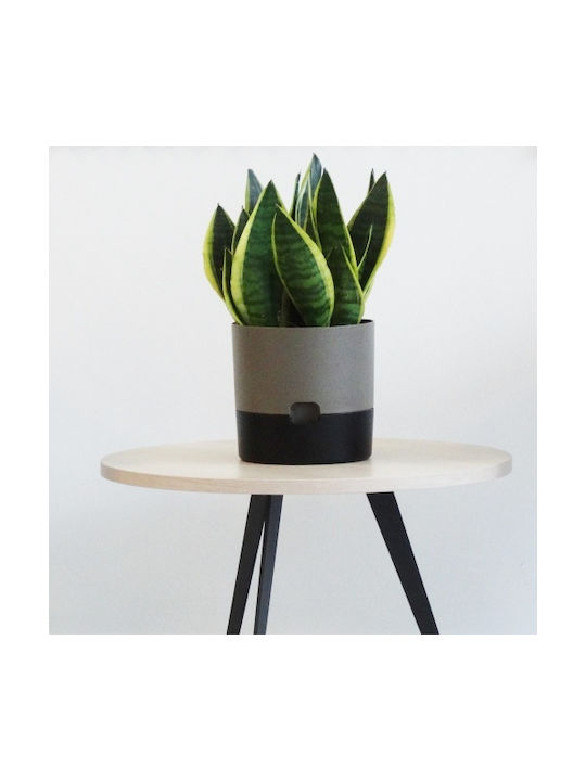 Flower Pot Vita 4lt-d20x18h Cm-gray Beige