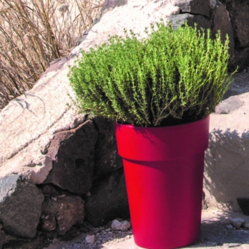 Blumentopf Strohlinea 10lt-d25x34h Cm-Gelb/Grün