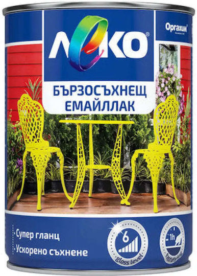 Leko Αντιδιαβρωτικό 0.65lt Γκρι Γυαλιστερό