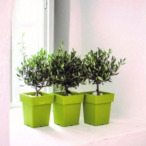 Viomes Linea Ghiveci Plastic Anthracite - Molyvi 33x33x42cm.