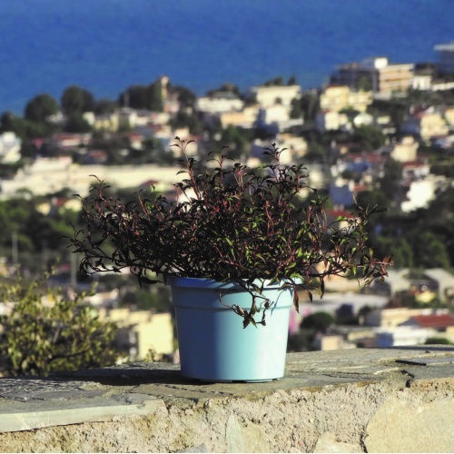 Viomes Cylindro Γλάστρα Πλαστική Κανελί 35x35x26εκ.