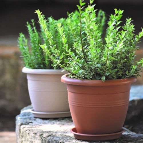 Viomes Terracotta Pot Plastic Terracotta 29x29x23cm.