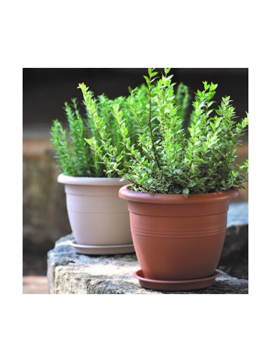 Viomes Terracotta Pot Plastic Titanium grey 32x32x26cm.