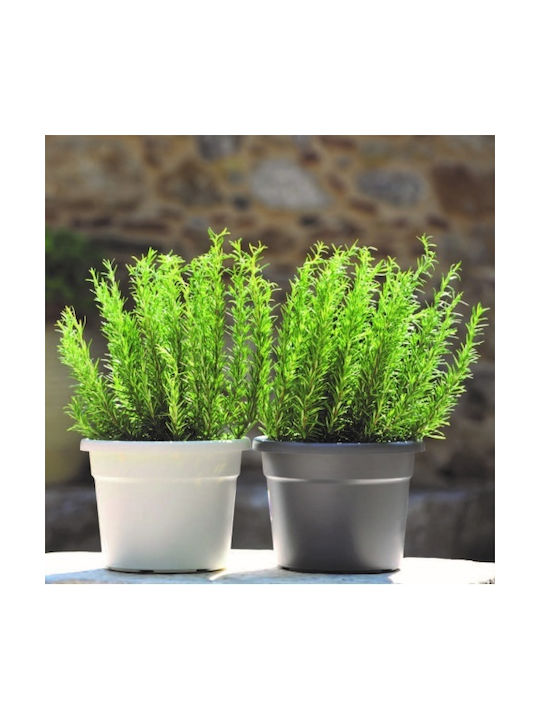 Viomes Cylindro Pot Plastic Cinnamon 25x25x19cm.