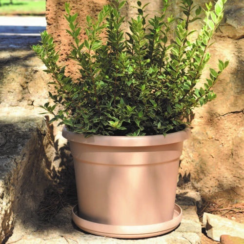 Viomes Cylindro Blumentopf Kunststoff Cinnamon Viomes Cylindro Blumentopf Kunststoff Cinnamon