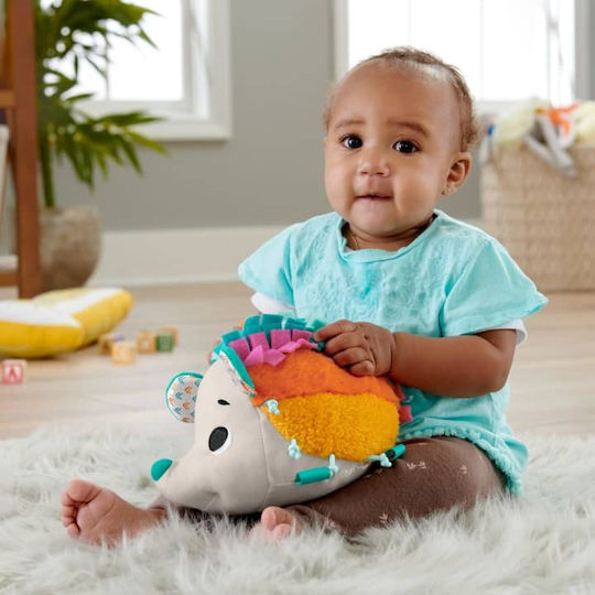 Fisher Price Animal Soft Hedgehog - Rainbow made of Fabric with Sounds for 3++ Months