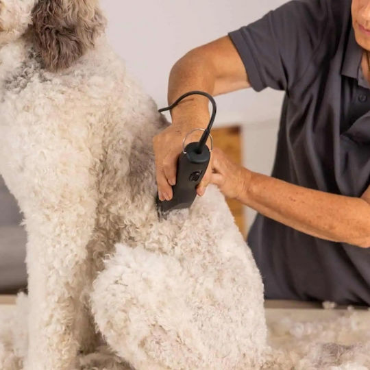 Wahl Professional Машинка за Подстригване Черна 1251-0470