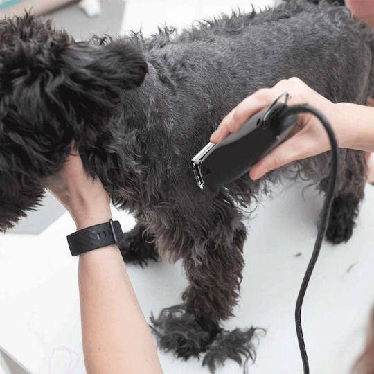 Wahl Professional Dog Grooming Clippers Power