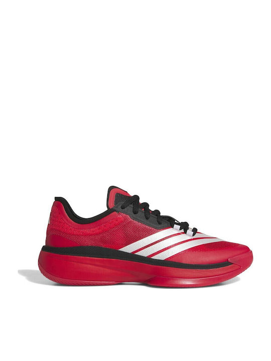 Adizero Select 3.0 Low Basketball Shoes Red