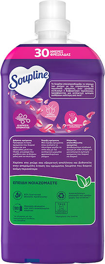 Soupline Weichspüler mit Duft Magnolie & Lavendel 1x1250ml