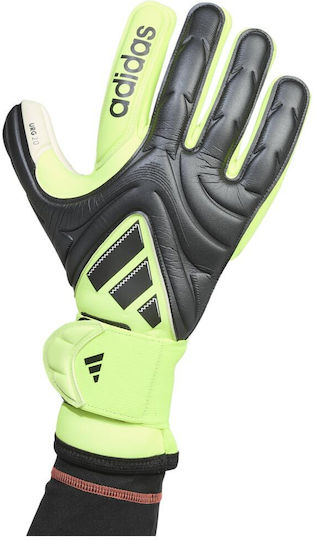 adidas Copa Gl Pro Adults Goalkeeper Gloves Green