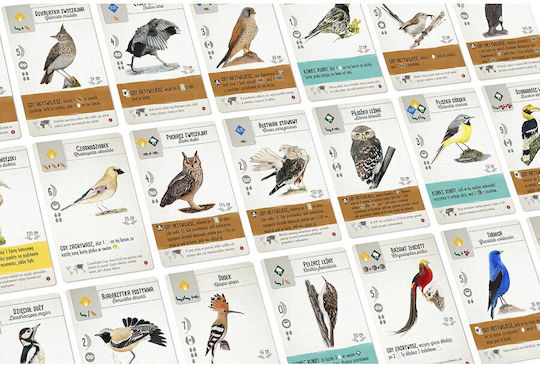 Game Expansion Playing on Wings: Birds of Asia for 1-7 Players 10+ Years Old (PL) Rebel Games