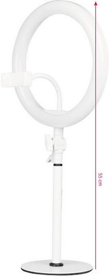 Salon Tech Ring Light 25.4cm