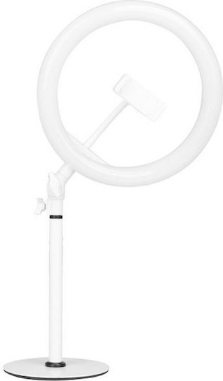 Salon Tech Ring Light 25.4cm