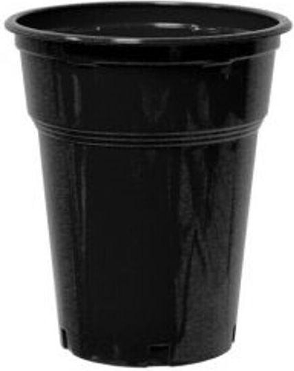 Disposable Cup Plastic Black 300ml 50pcs
