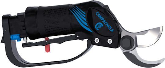 Campagnola Victory AI860003