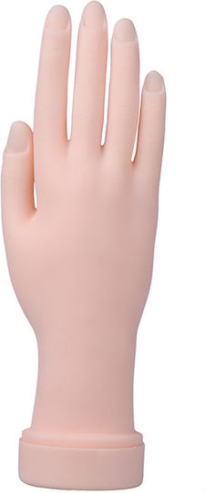 Eurostil Educational Hand for Aesthetics