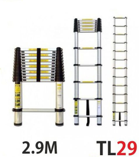Vesta Telescopic Ladder Aluminum 10 of Steps with Maximum Height 2.9m