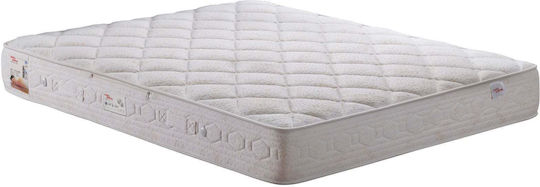 Standard Semi-double Ergonomic Mattress 130x200x21cm with Pocket Springs