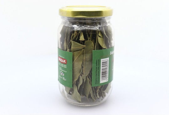 Ινδία Δάφνη 20gr